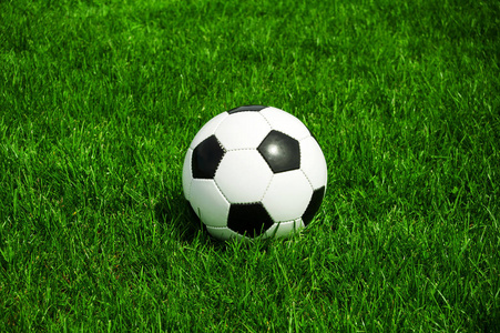 多平台设备展示大赢家即时比分完整版